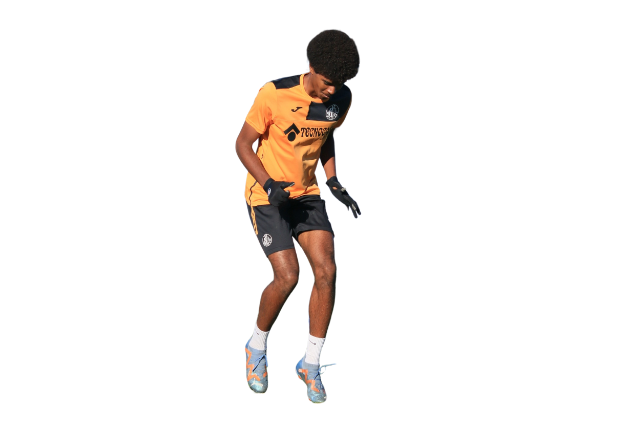 holistic player